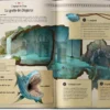 A Collection of Fantasy Maps 2 (Guillaume Tavernier)