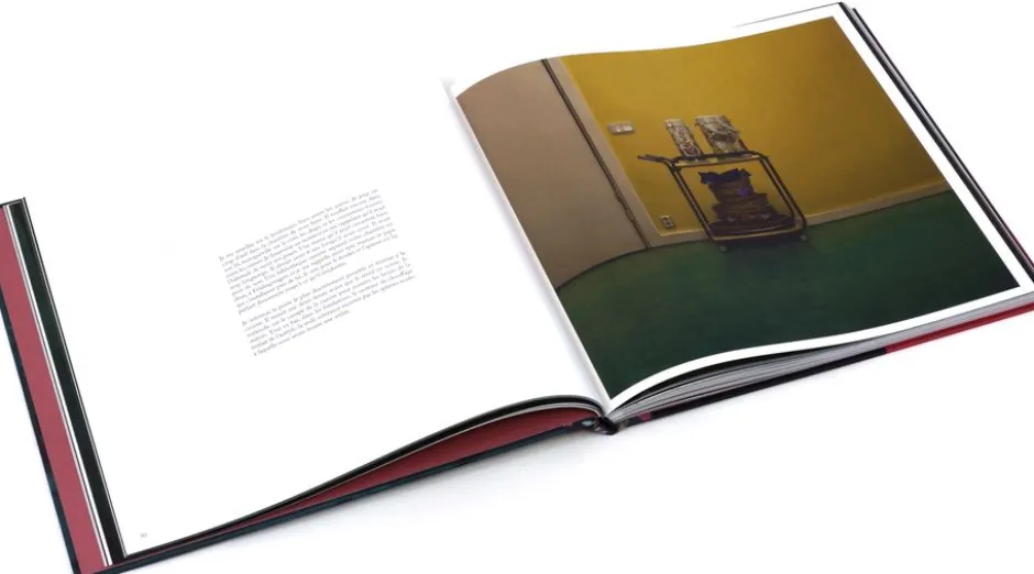 Artbook : The Labyrinth