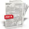 Cartes Géographiques - Daggerheart