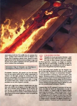 Chroniques des Terres-Dragons N°20 : Pas de Fumée Sans Feu