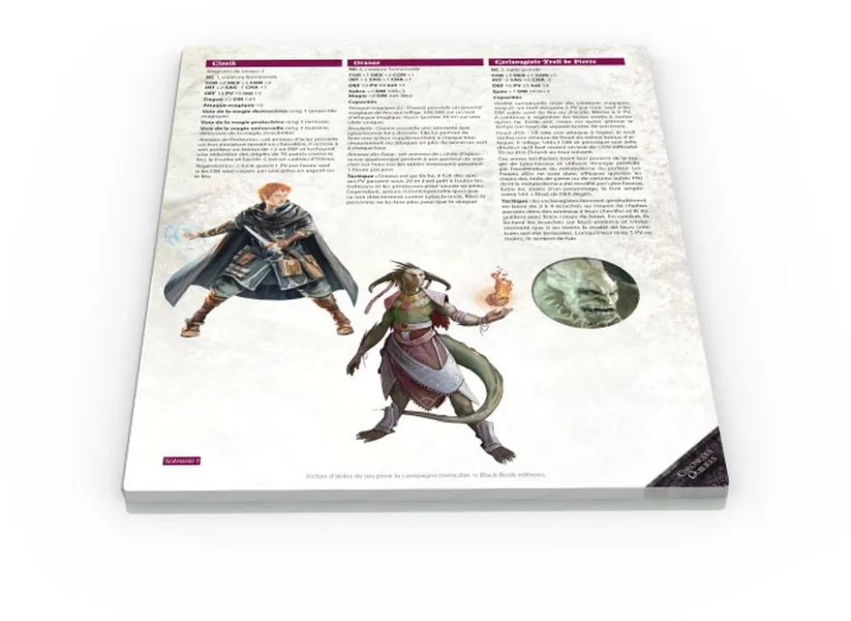 Chroniques Oubliées Fantasy - Plans, illustrations, PNJ, Objets magiques d'Invincible