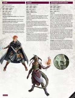 Chroniques Oubliées Fantasy - Plans, illustrations, PNJ, Objets magiques d'Invincible