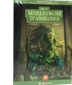 Dans le maelstrom d'Assignes