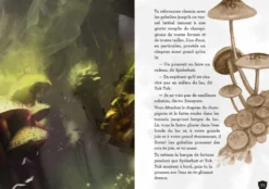 D&D : La Quête dont on est le héros - Un problème de taille