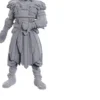 D&D Nolzur's Marvelous Miniatures - Baldur's Gate : Jaheira & Halsin