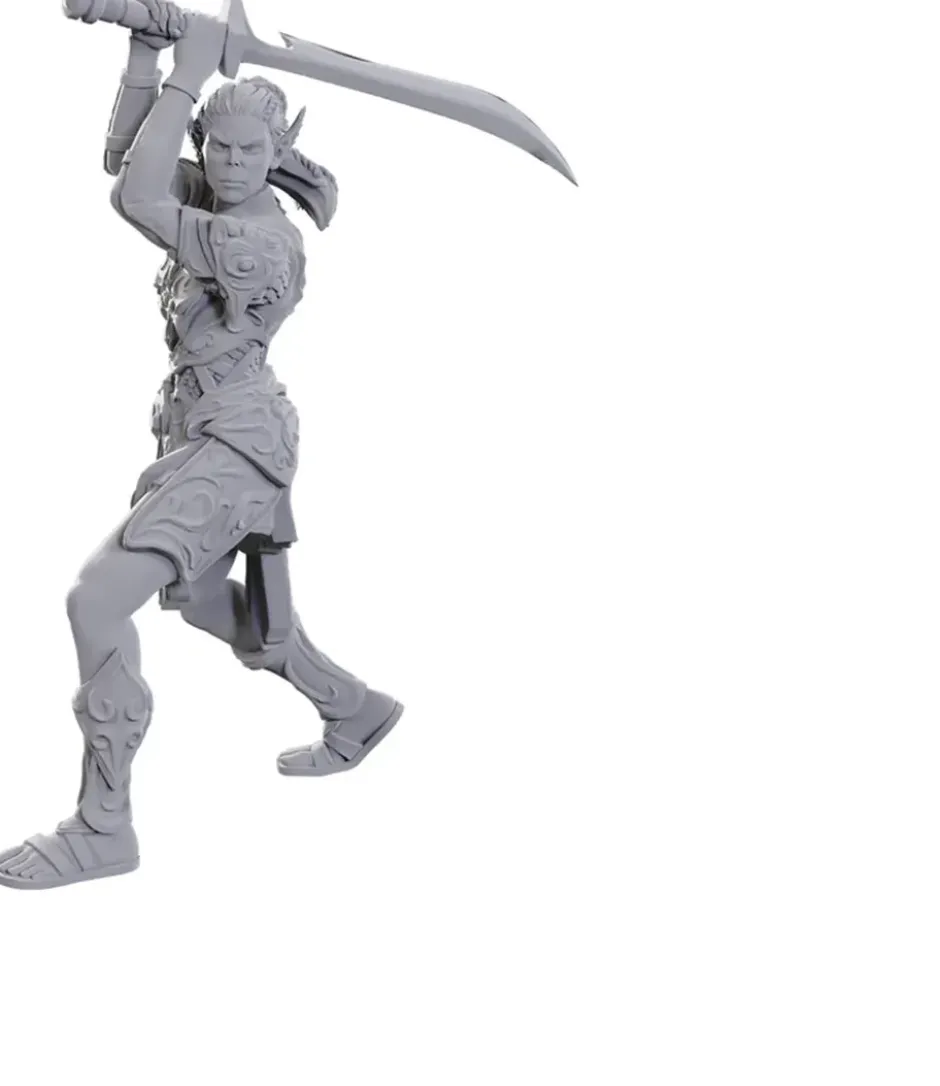 D&D Nolzur's Marvelous Miniatures - Baldur's Gate : Lae'zel & Shadowheart