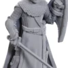 D&D Nolzur's Marvelous Miniatures: Elves (50th Anniversary Limited Edition)
