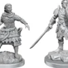 D&D Nolzur's Marvelous Miniatures: Human Fighters (M+F)