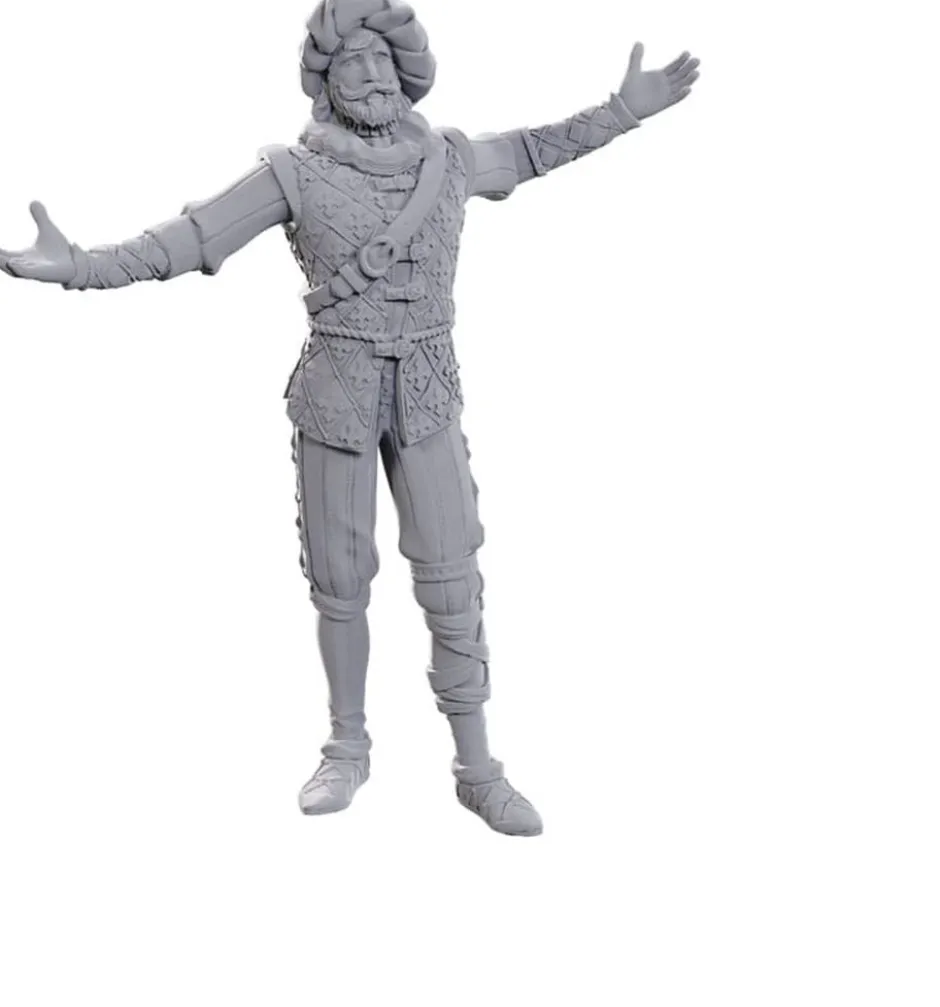 D&D Nolzur's Marvelous Miniatures - Baldur's Gate : Volo & Withers