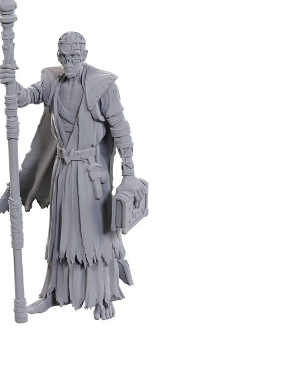 D&D Nolzur's Marvelous Miniatures - Baldur's Gate : Volo & Withers