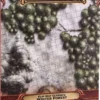 Flip-Mat Classics: Winter Forest
