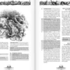 Forbidden Lands : La flèche de Quetzel