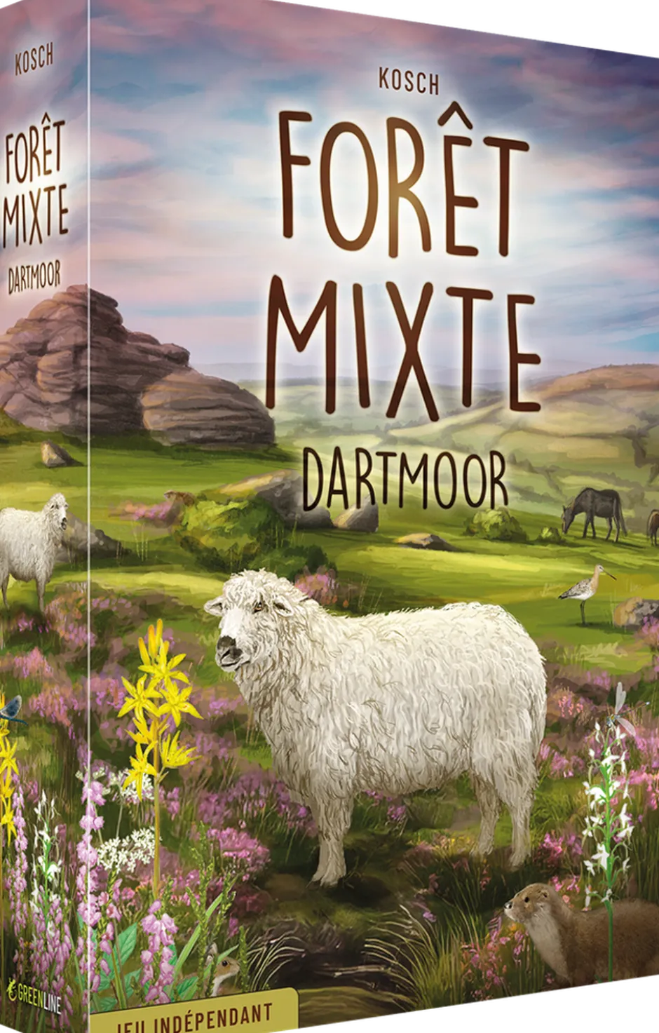 Forêt Mixte Dartmoor
