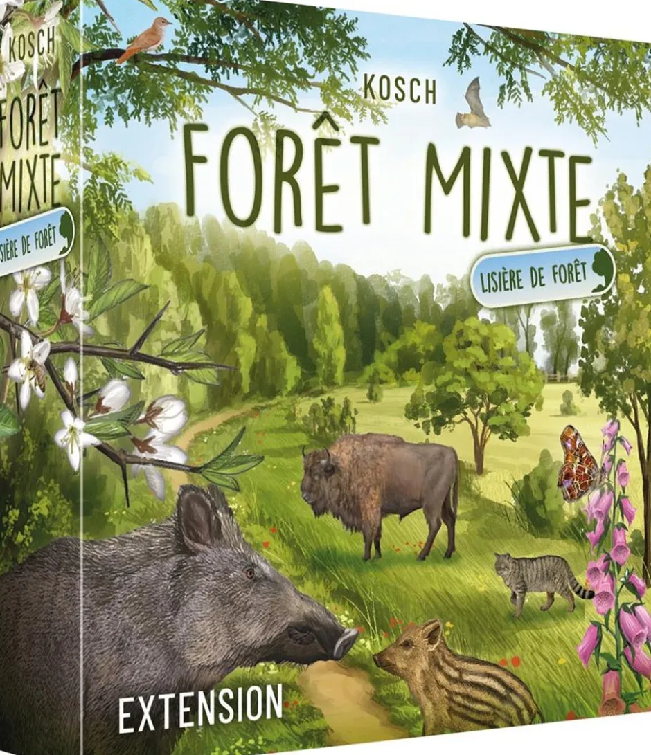 Forêt Mixte : Lisière de forêt (Ext.)