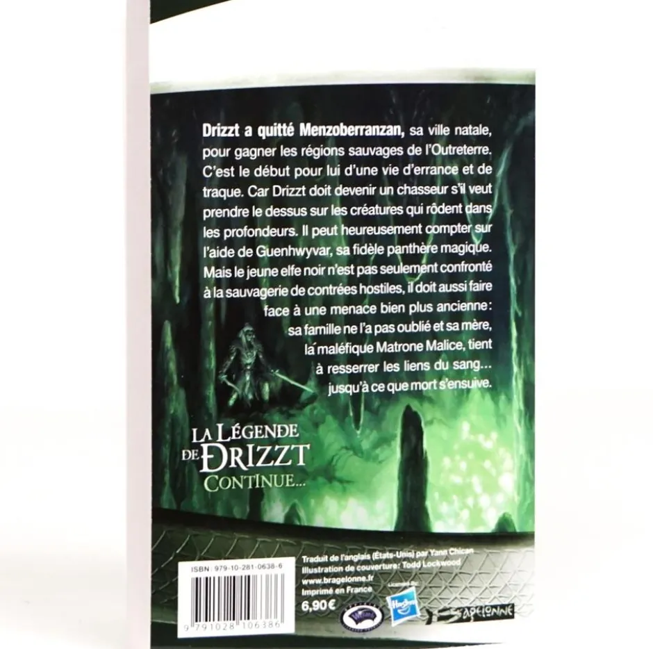 La Légende de Drizzt T02 : Terre d'exil