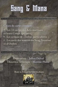 L'Ange du Chaos : Sang & Mana 1