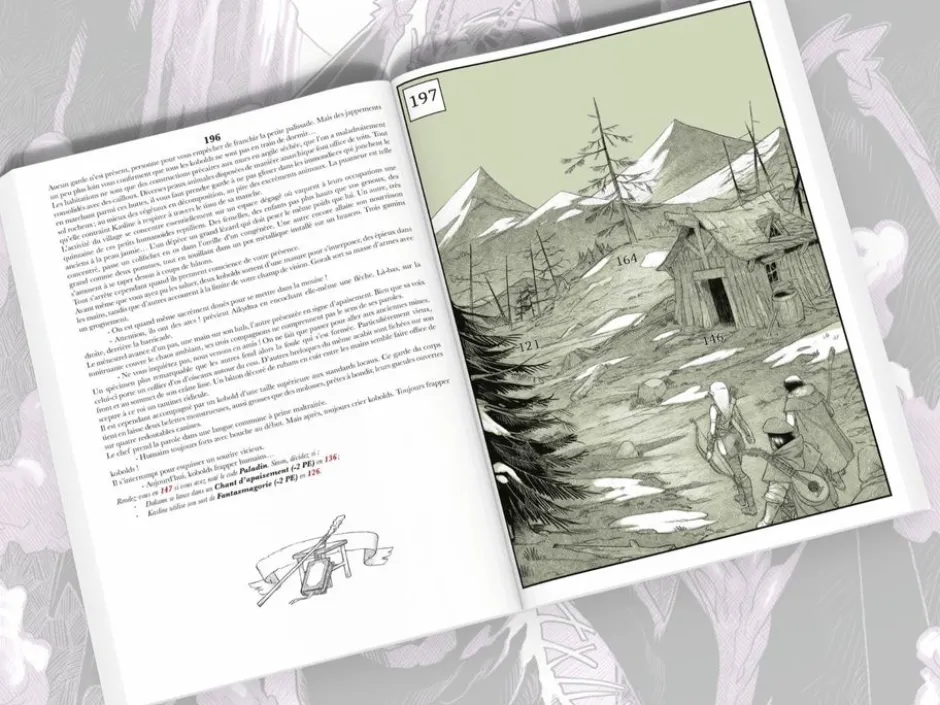 La Pierre du Dragon : un roman illustré dont vous êtes le héros