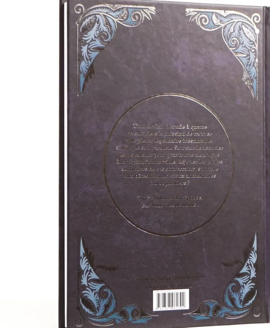La Pierre du Dragon : un roman illustré dont vous êtes le héros