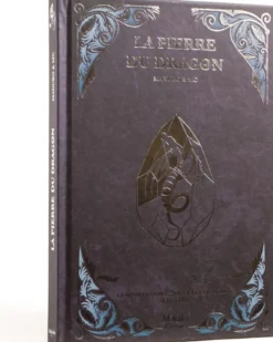 La Pierre du Dragon : un roman illustré dont vous êtes le héros