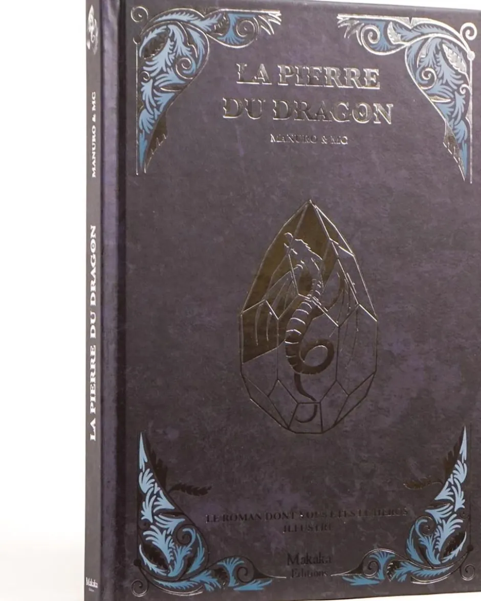 La Pierre du Dragon : un roman illustré dont vous êtes le héros