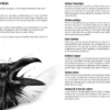 La Voie du Corbeau – Jeu de Rôle Solo