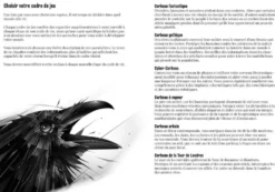 La Voie du Corbeau – Jeu de Rôle Solo