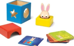 Le Lapin et le Magicien