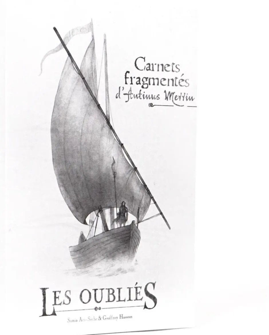Les Oubliés : Carnets Fragmentés