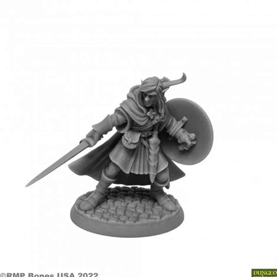 Mellonir Windrunner, Elf Warrior