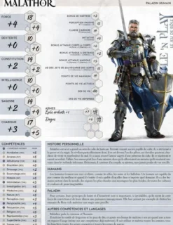 Role'n Play - Boîte d'initiation Role'n Play - prétirés