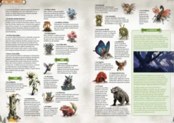 Shaan World : Livre-jeu Chrysalis