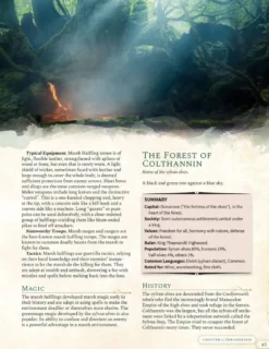 Solasta Campaign Rulebook VO