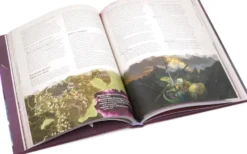 Tal'Dorei Campaign Setting Reborn (VO)
