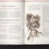 The Lord of the Rings RPG 5E: Moria - Shadow of Khazad-Dum VO